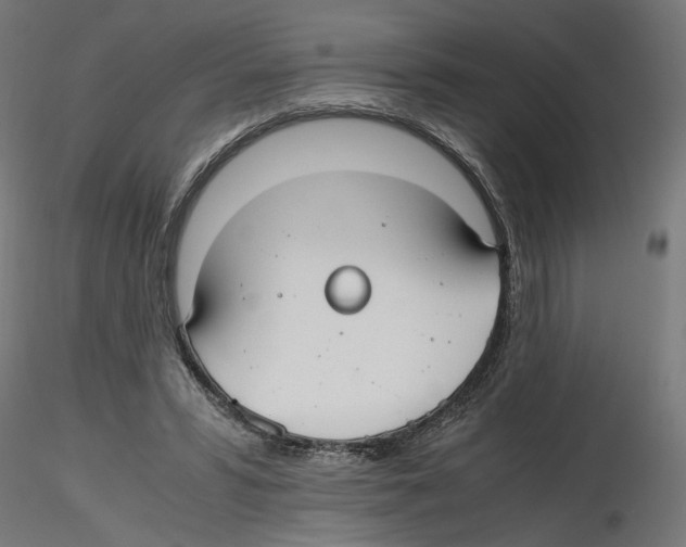 X0000116460399201001061042