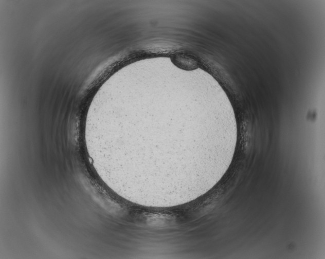 X0000116460400201001061042