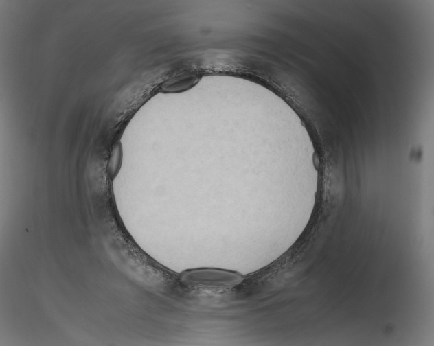 X0000116460401201001061042