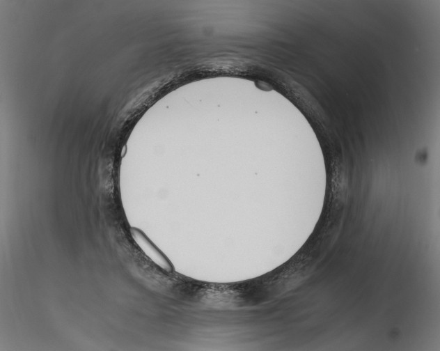 X0000116460403201001061042