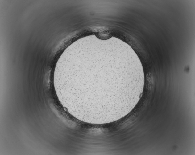 X0000116460404201001061042