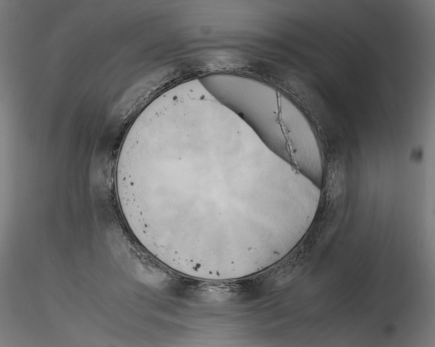 X0000116460405201001061042