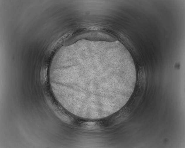 X0000116460406201001061042