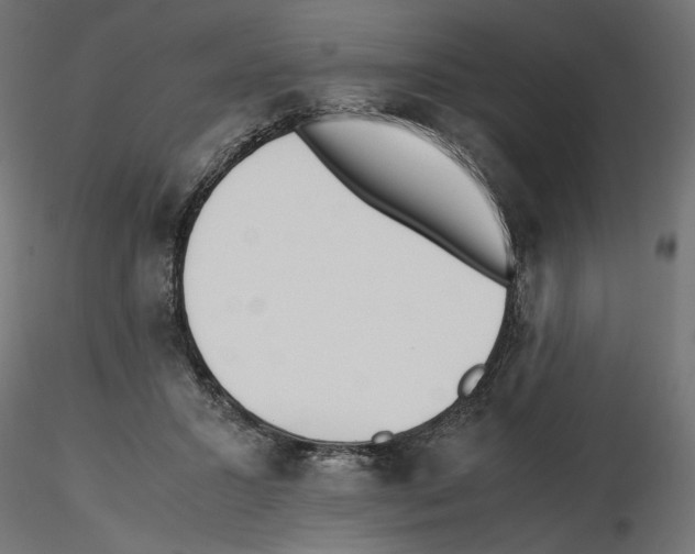 X0000116460407201001061042