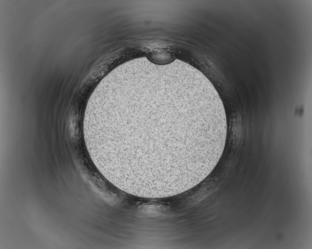 X0000116460408201001061042