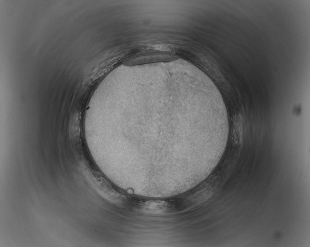 X0000116460410201001061042