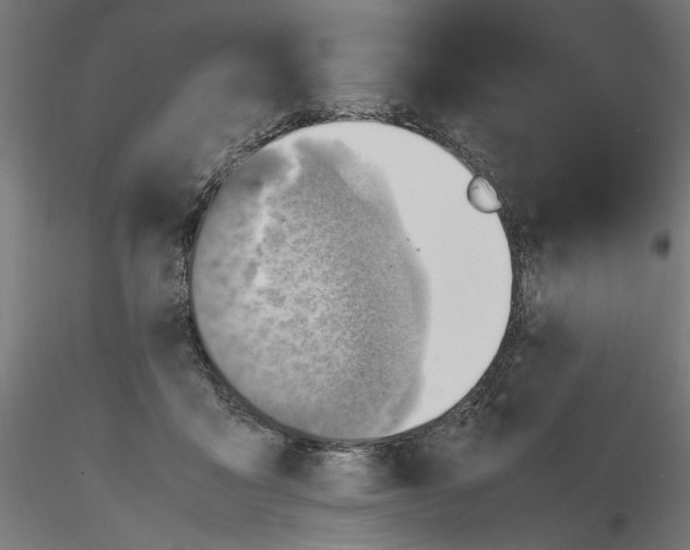 X0000116460411201001061042