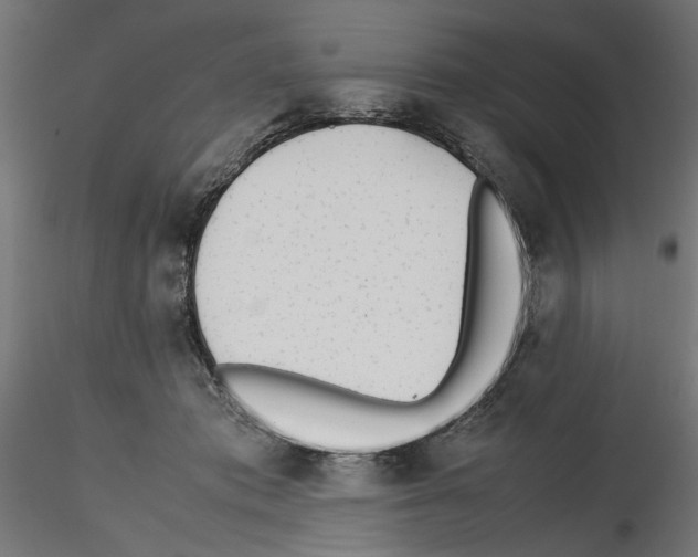 X0000116460413201001061042