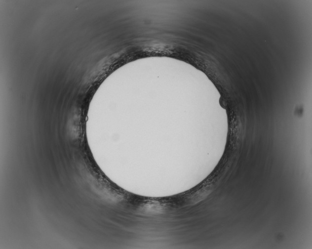 X0000116460416201001061042