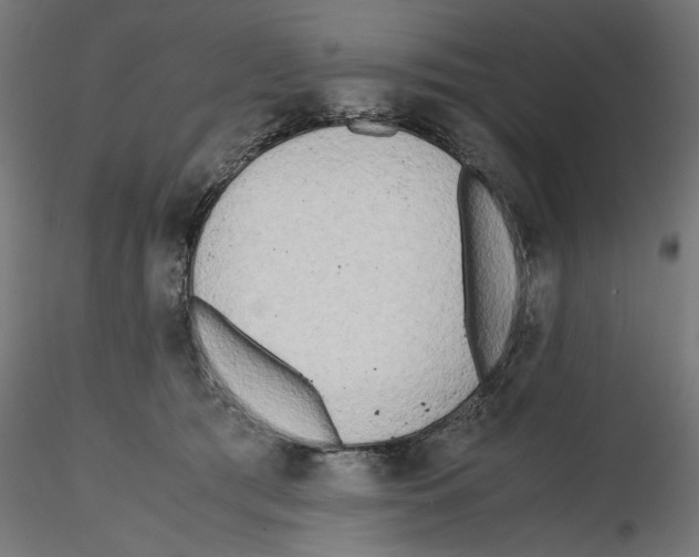 X0000116460417201001061042