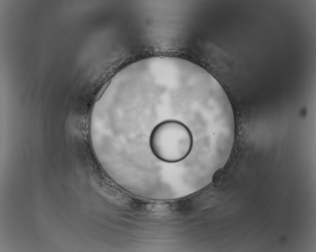 X0000116460419201001061042