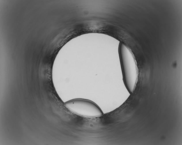 X0000116460421201001061042