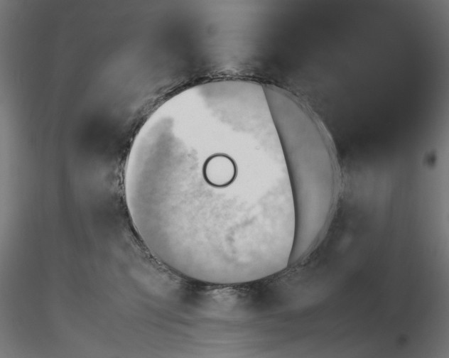 X0000116460423201001061042