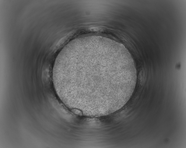 X0000116460424201001061042