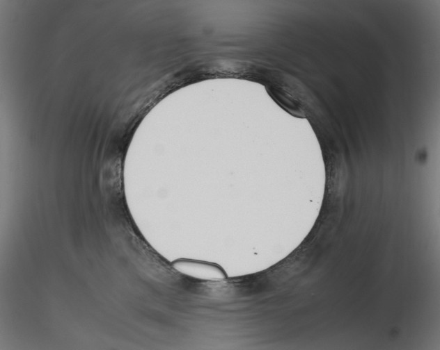 X0000116460425201001061042