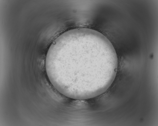 X0000116460427201001061042