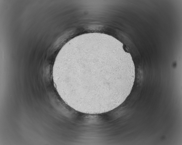 X0000116460428201001061042