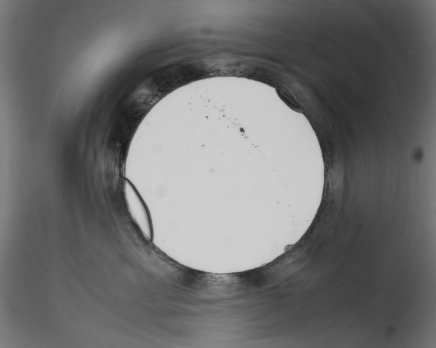 X0000116460429201001061042