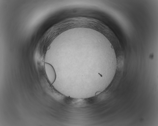 X0000116460431201001061042