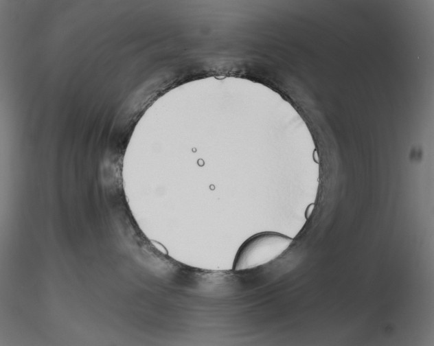 X0000116460432201001061042
