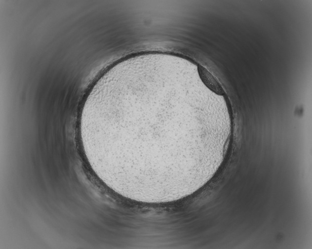 X0000116460434201001061041