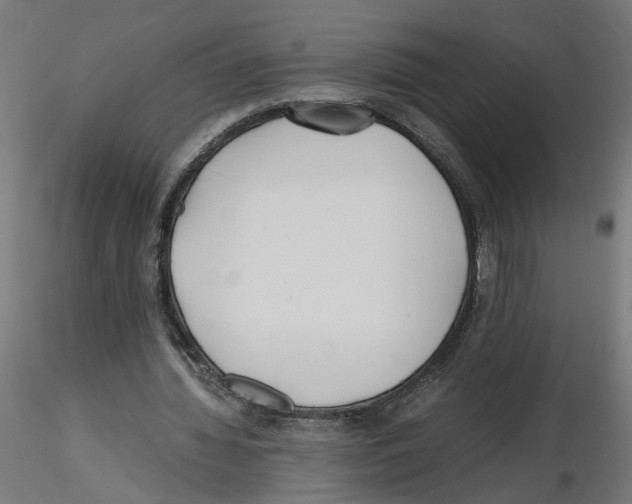 X0000116460436201001061041