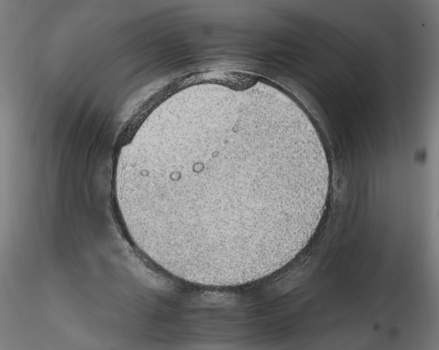 X0000116460437201001061041