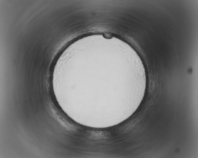 X0000116460439201001061041