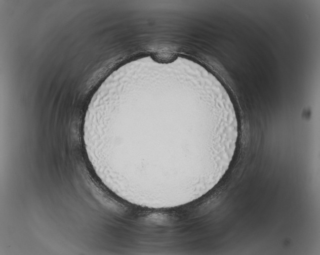 X0000116460441201001061041