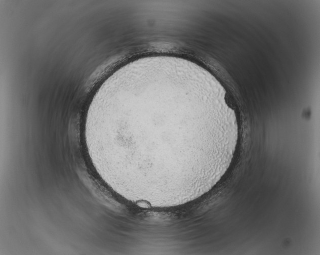 X0000116460442201001061041