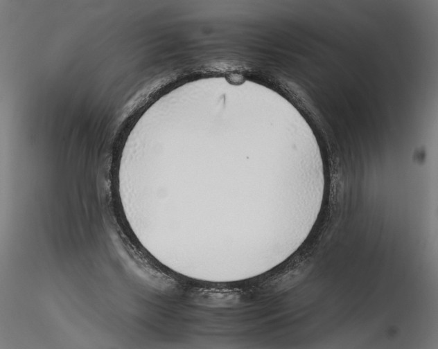 X0000116460443201001061041