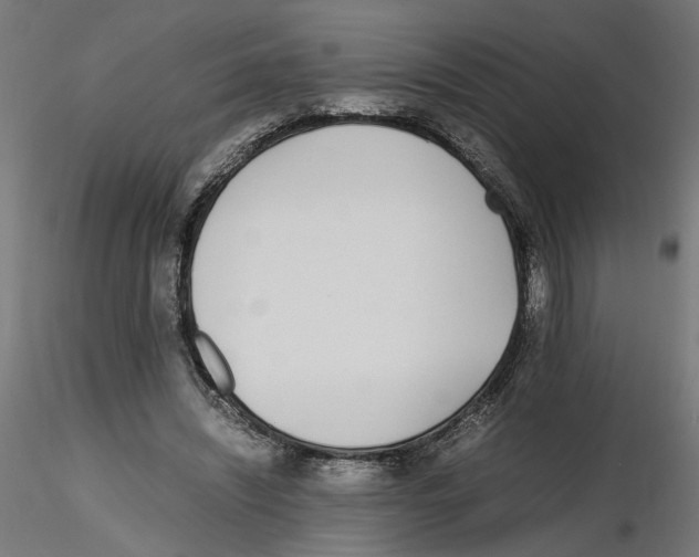 X0000116460444201001061041