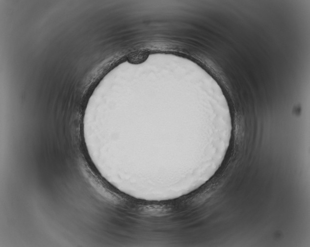X0000116460445201001061041