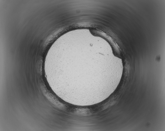 X0000116460446201001061041