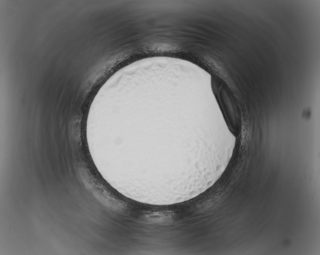 X0000116460447201001061041
