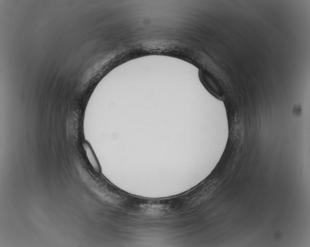 X0000116460448201001061041