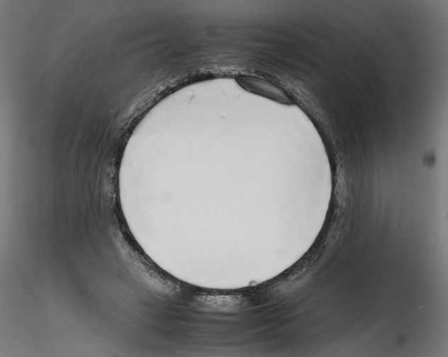 X0000116460449201001061041