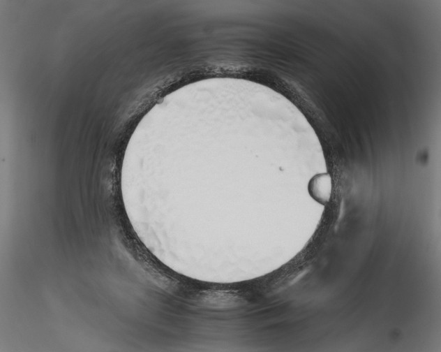 X0000116460451201001061042