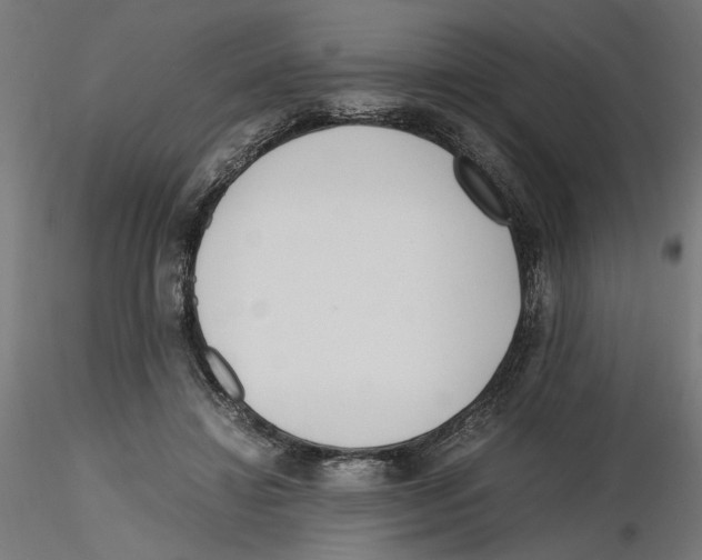 X0000116460452201001061042