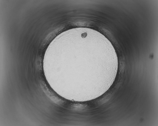 X0000116460453201001061042