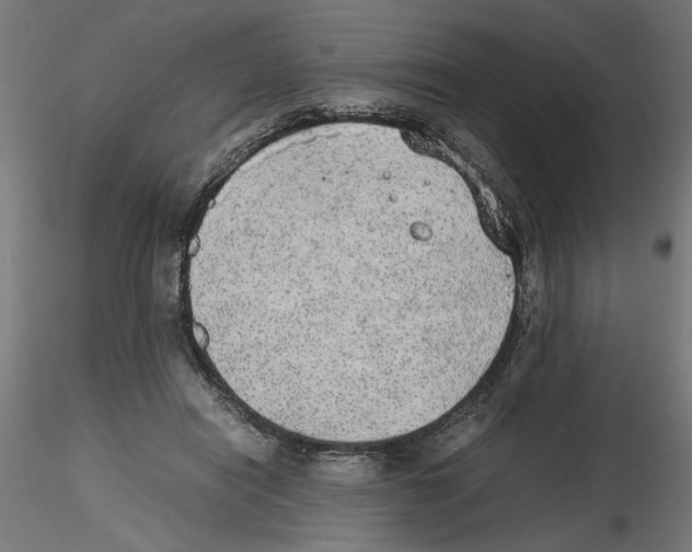 X0000116460454201001061042