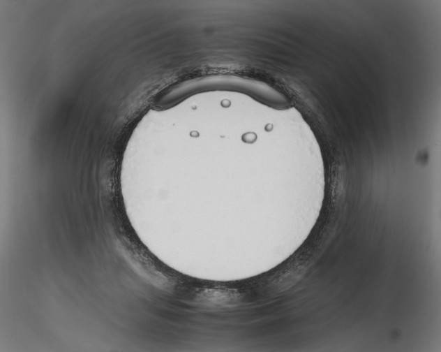 X0000116460455201001061042