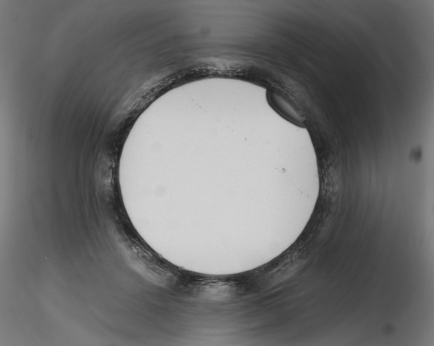 X0000116460456201001061042