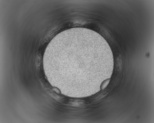 X0000116460463201001061042