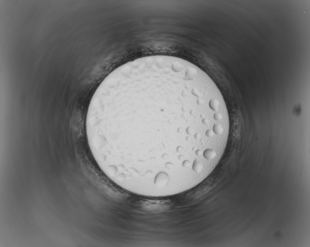 X0000116460465201001061042