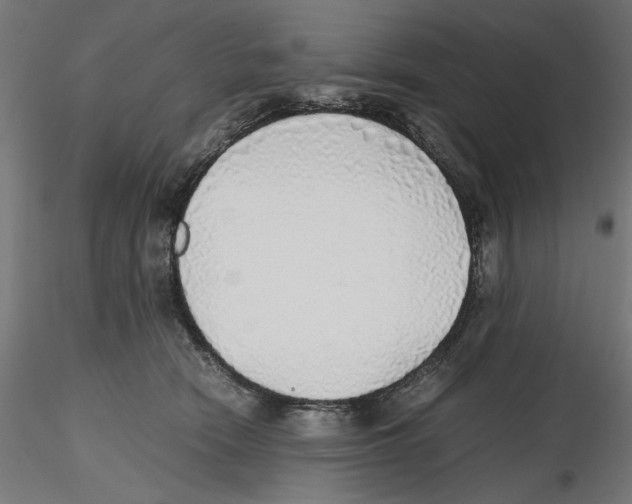 X0000116460466201001061042