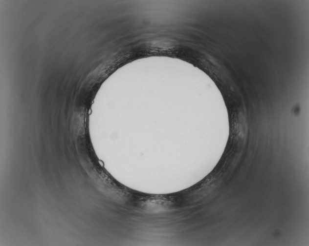 X0000116460468201001061042