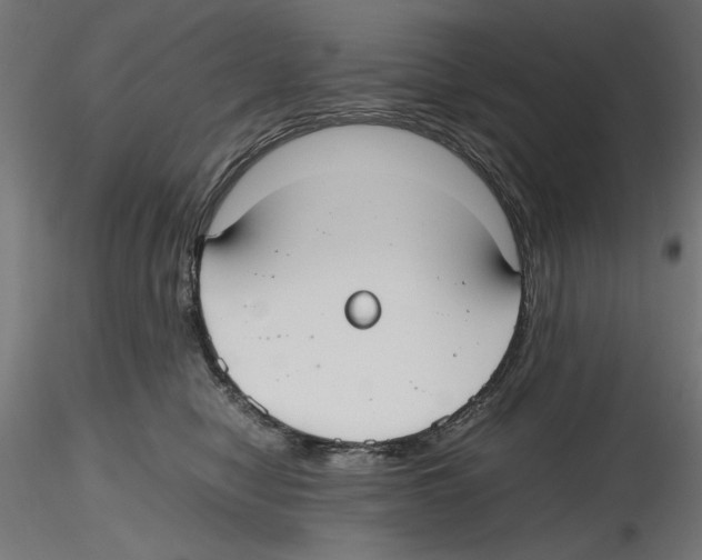 X0000116460470201001061042