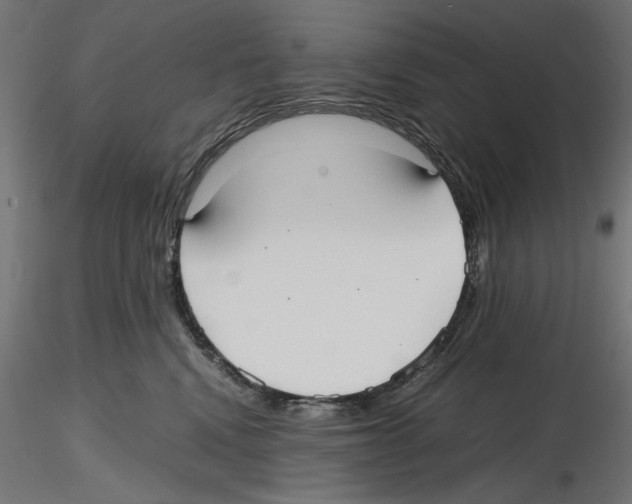 X0000116460472201001061042