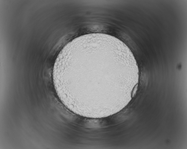 X0000116460473201001061042